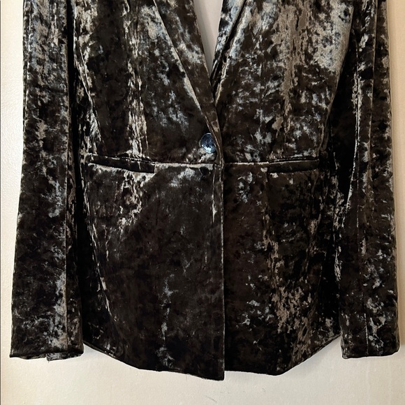 Sanctuary Crushed Velvet Moss Green Blazer size S - Picture 3 of 11
